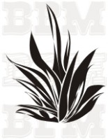 /album/kvety-stromy/kvety-4-jpg/